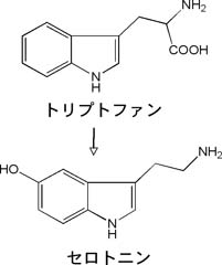 kunitomo_01.jpg