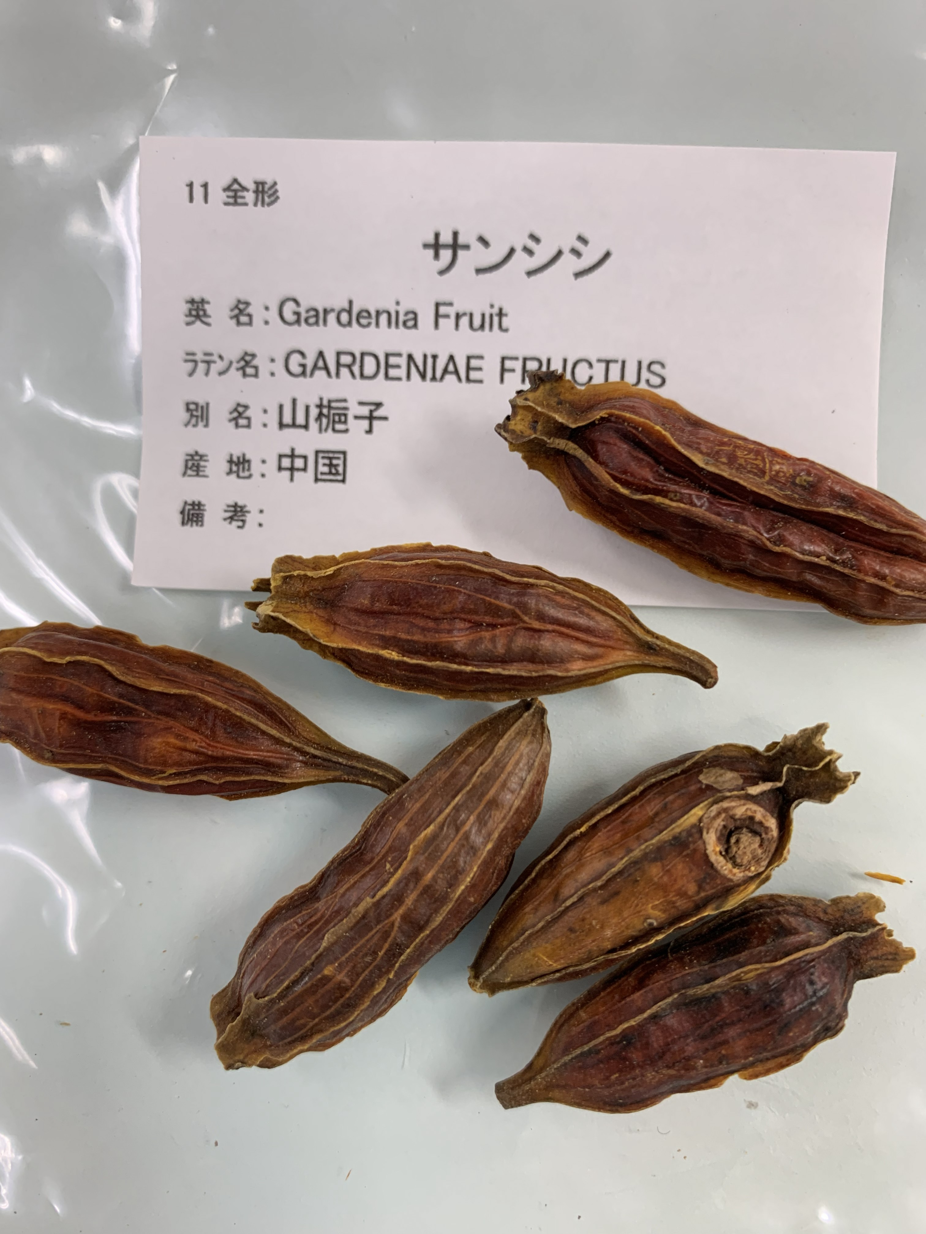 https://www.mukogawa-u.info/botanic/database/item/sannshishi_0623.jpg